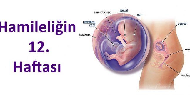 hamileligin 12. haftası