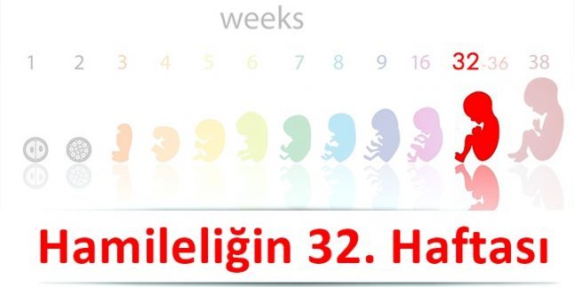 hamileliğin 32. haftası